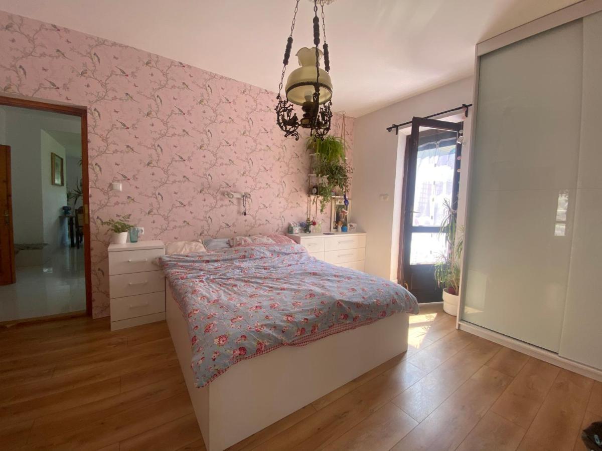 Zielone Zarabie Residence 마이슬레니체 외부 사진