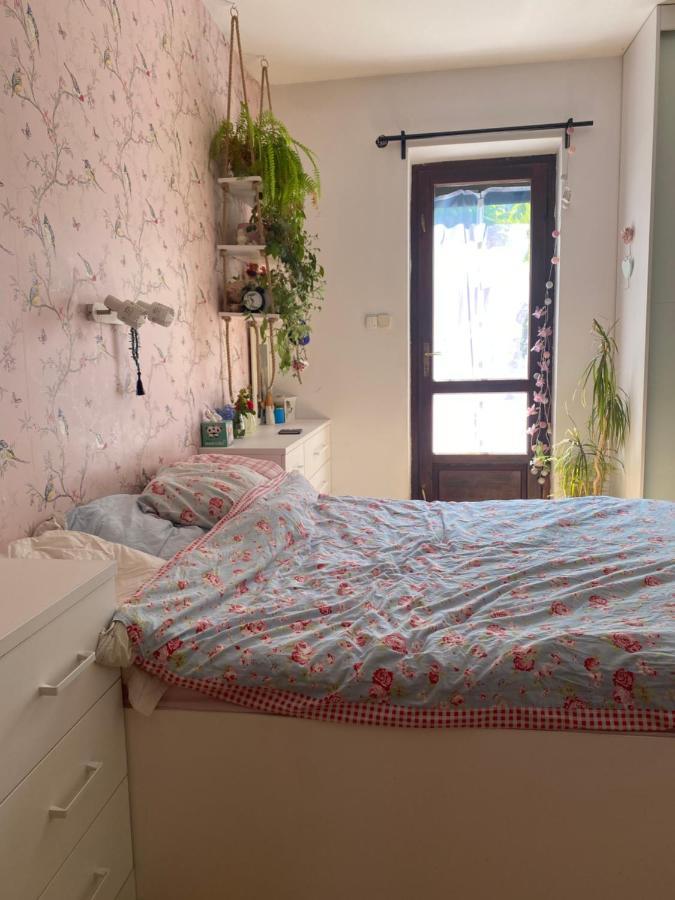 Zielone Zarabie Residence 마이슬레니체 외부 사진