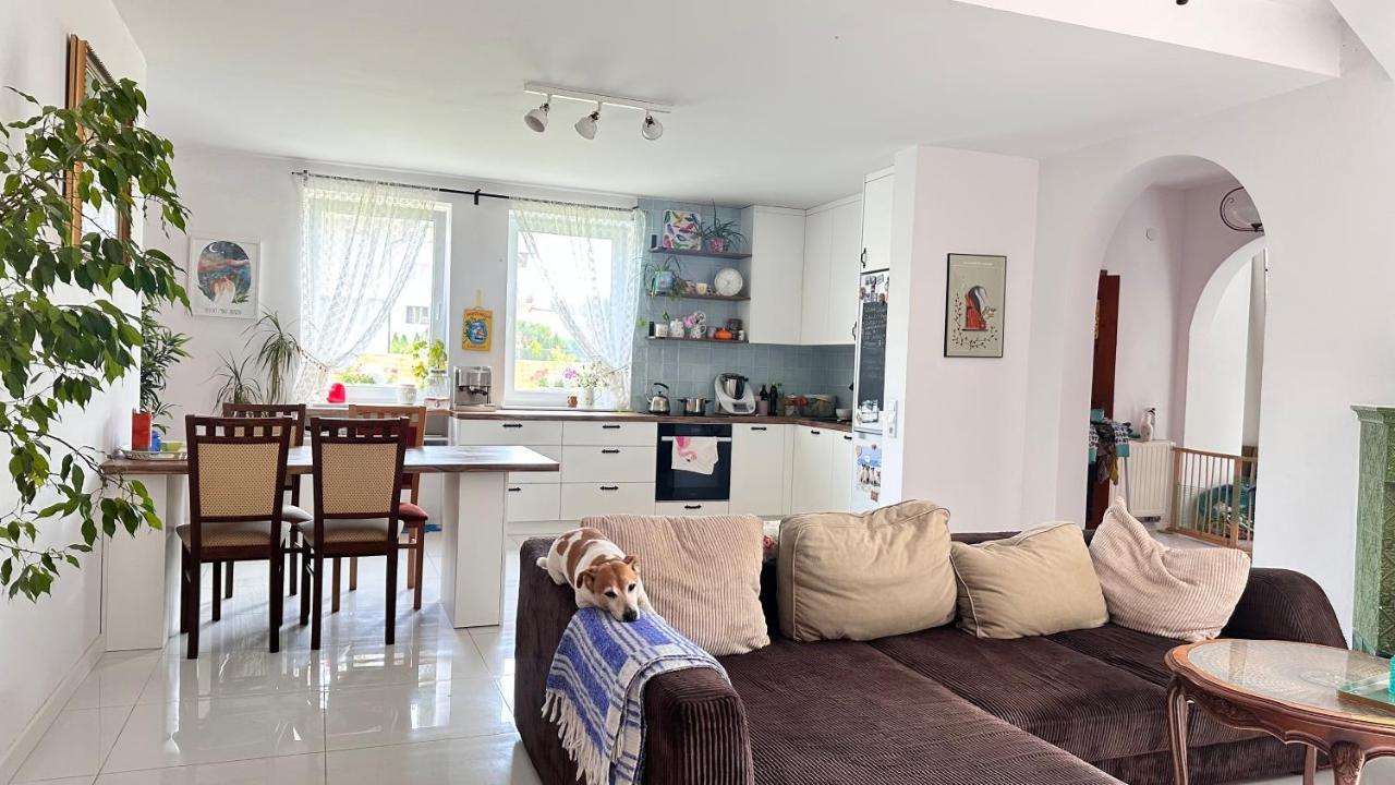 Zielone Zarabie Residence 마이슬레니체 외부 사진